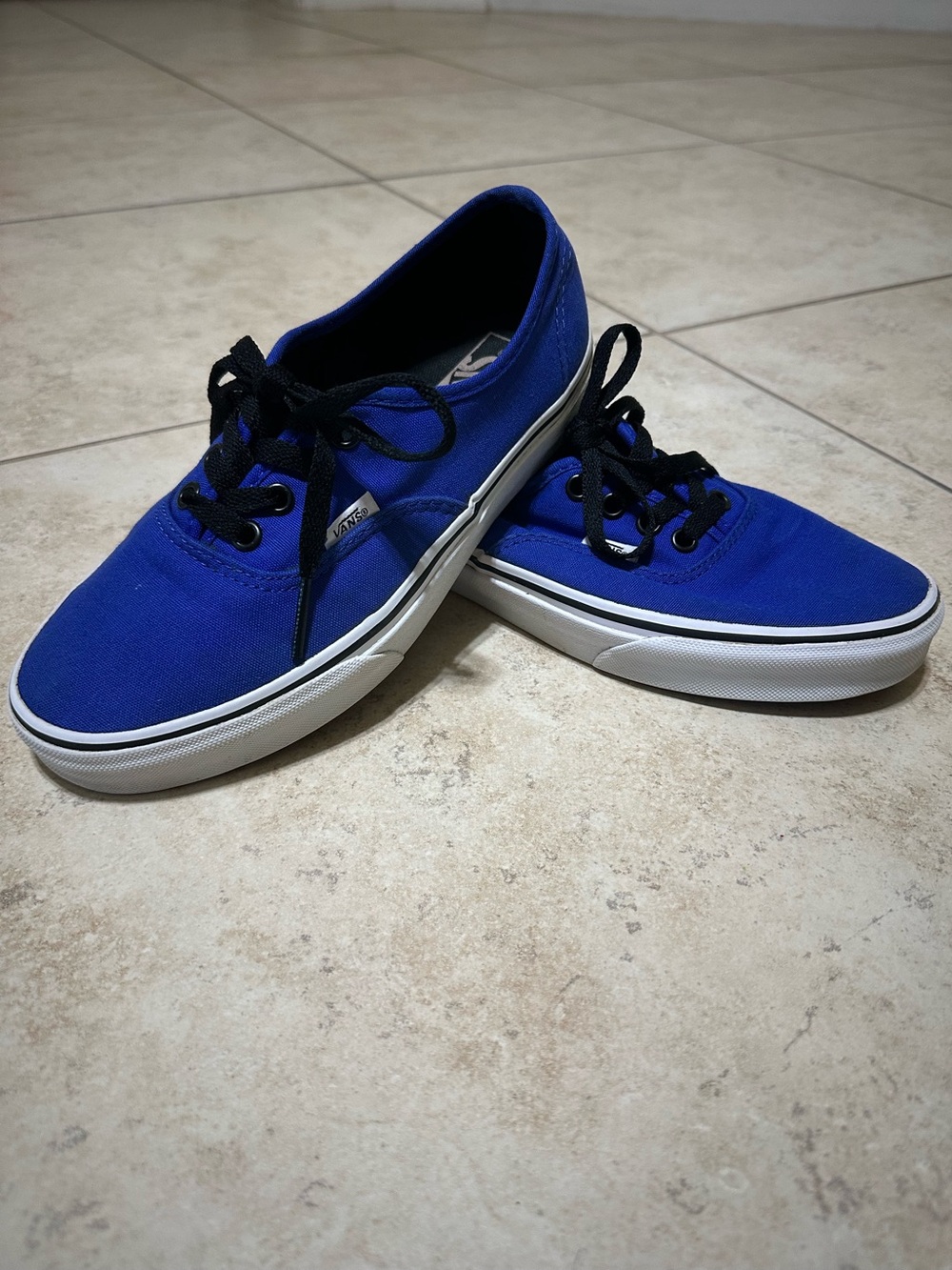 Vans Authentic Style Shoes